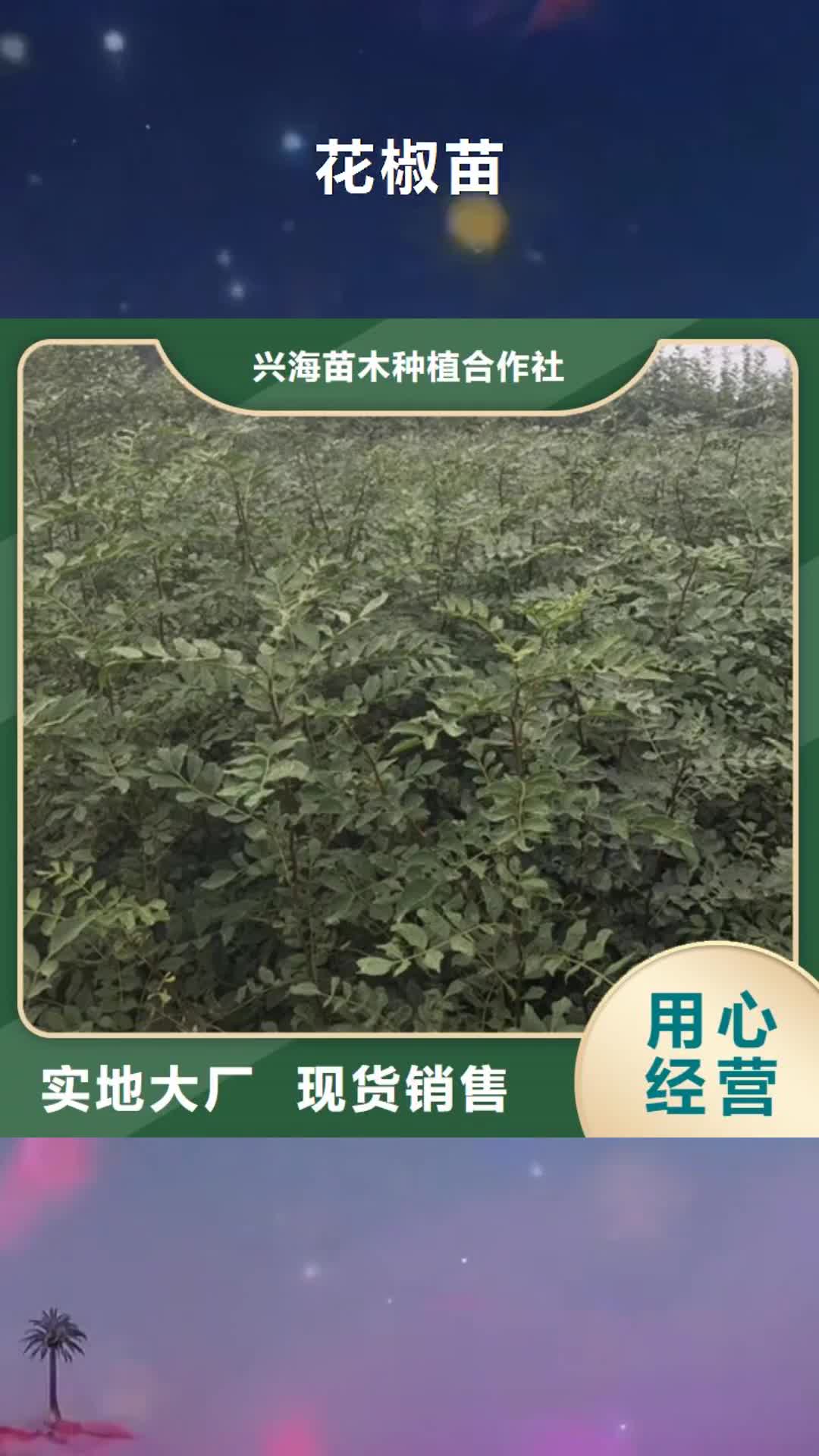 【许昌 花椒苗 苹果苗产品性能】