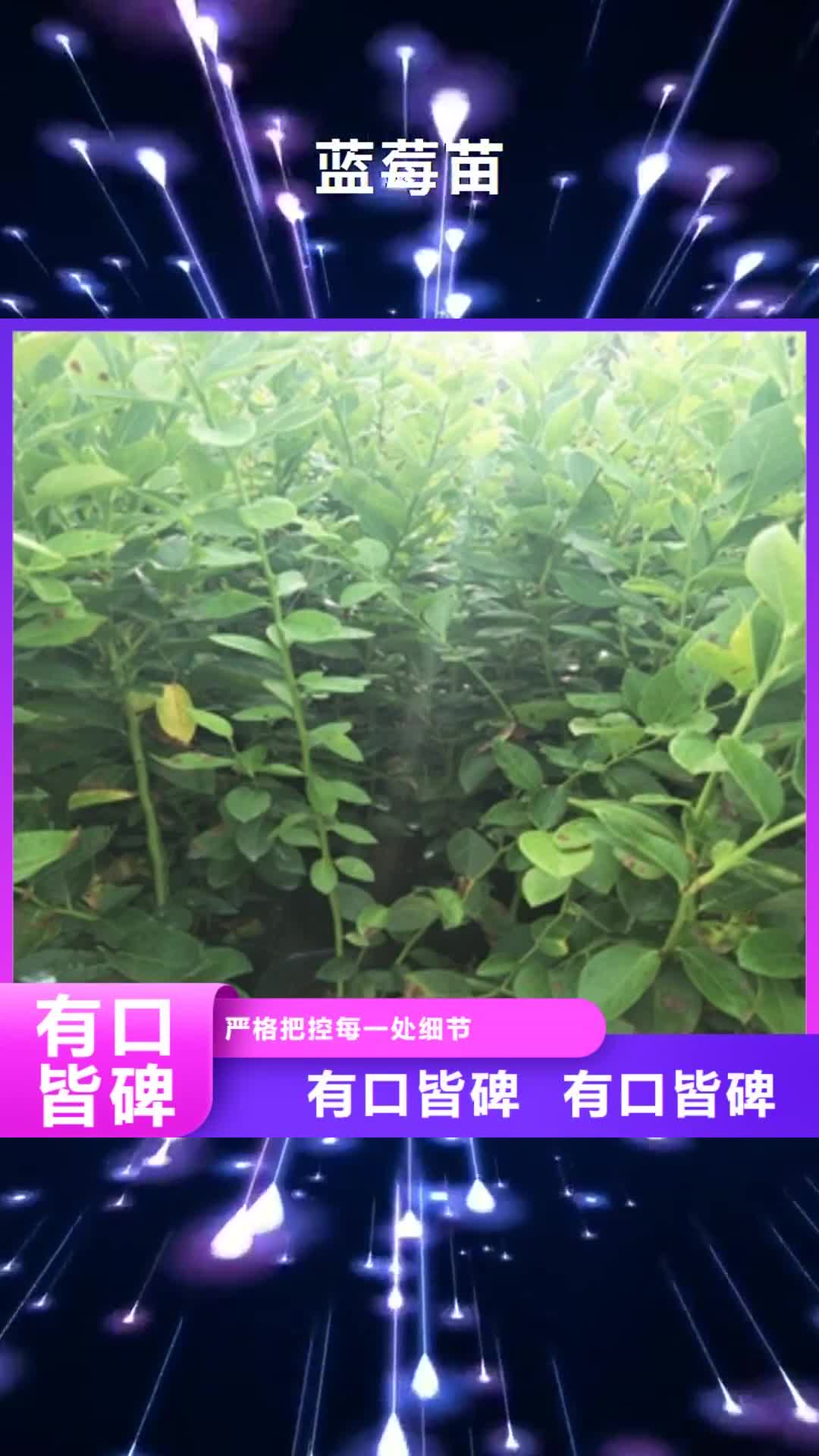 西藏【蓝莓苗】碧桃免费询价