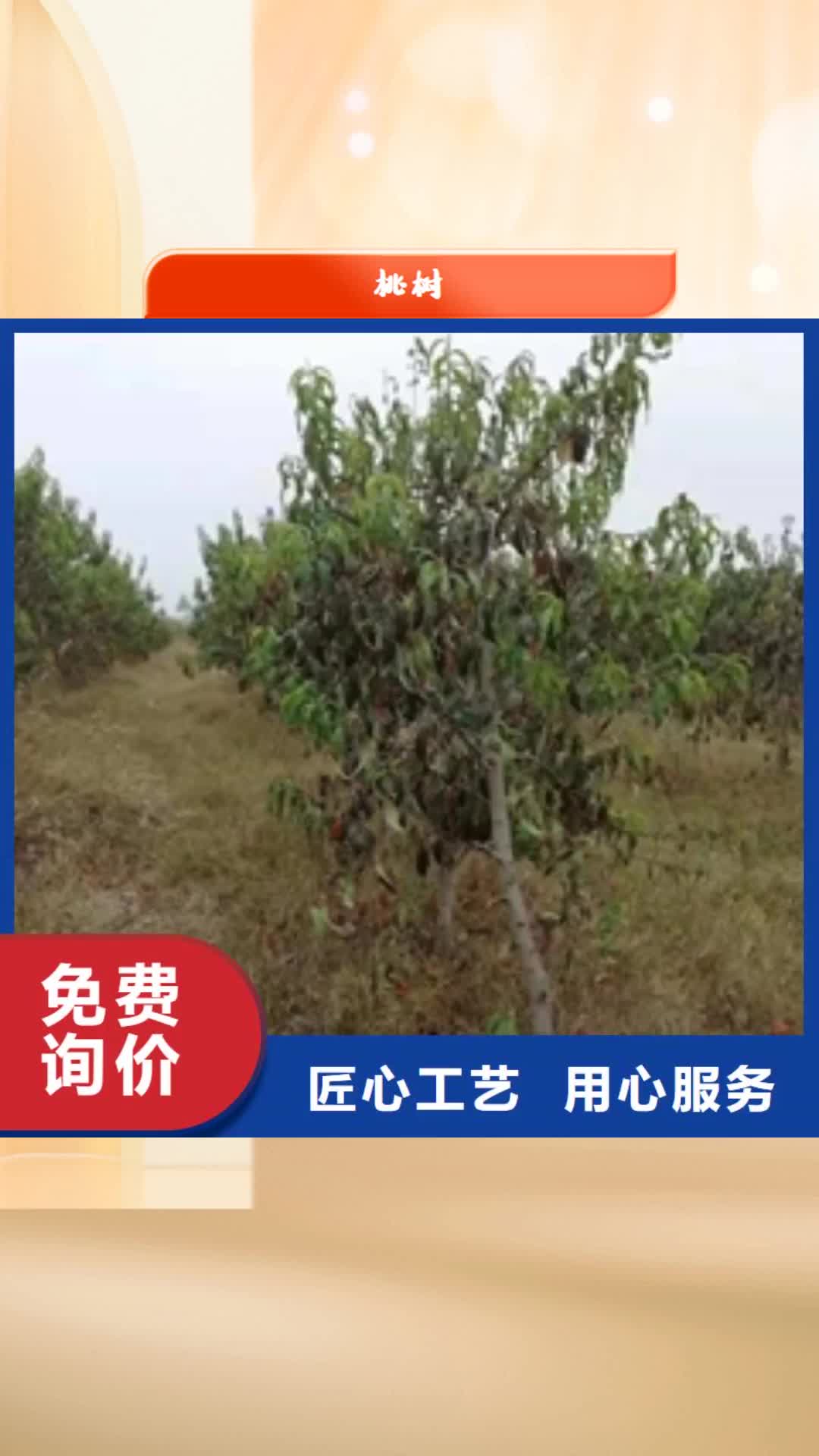 【中山 桃树蓝莓苗从厂家买售后有保障】