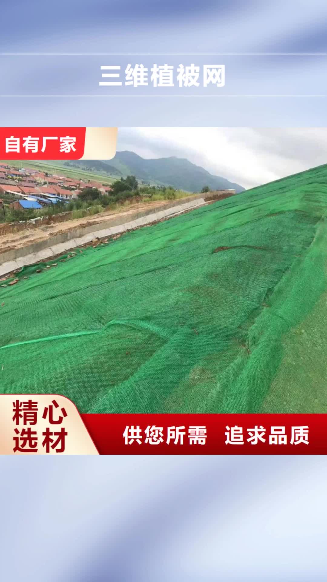 【盘锦 三维植被网钢塑土工格栅专注细节使用放心】