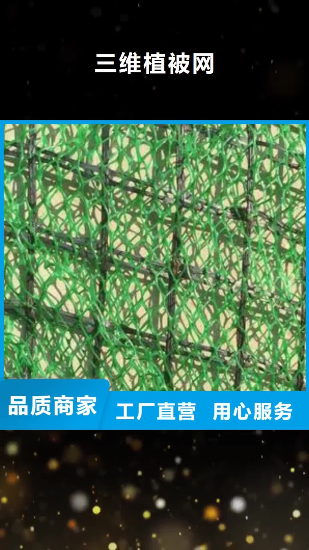 萍乡【三维植被网】-三维复合排水网经久耐用
