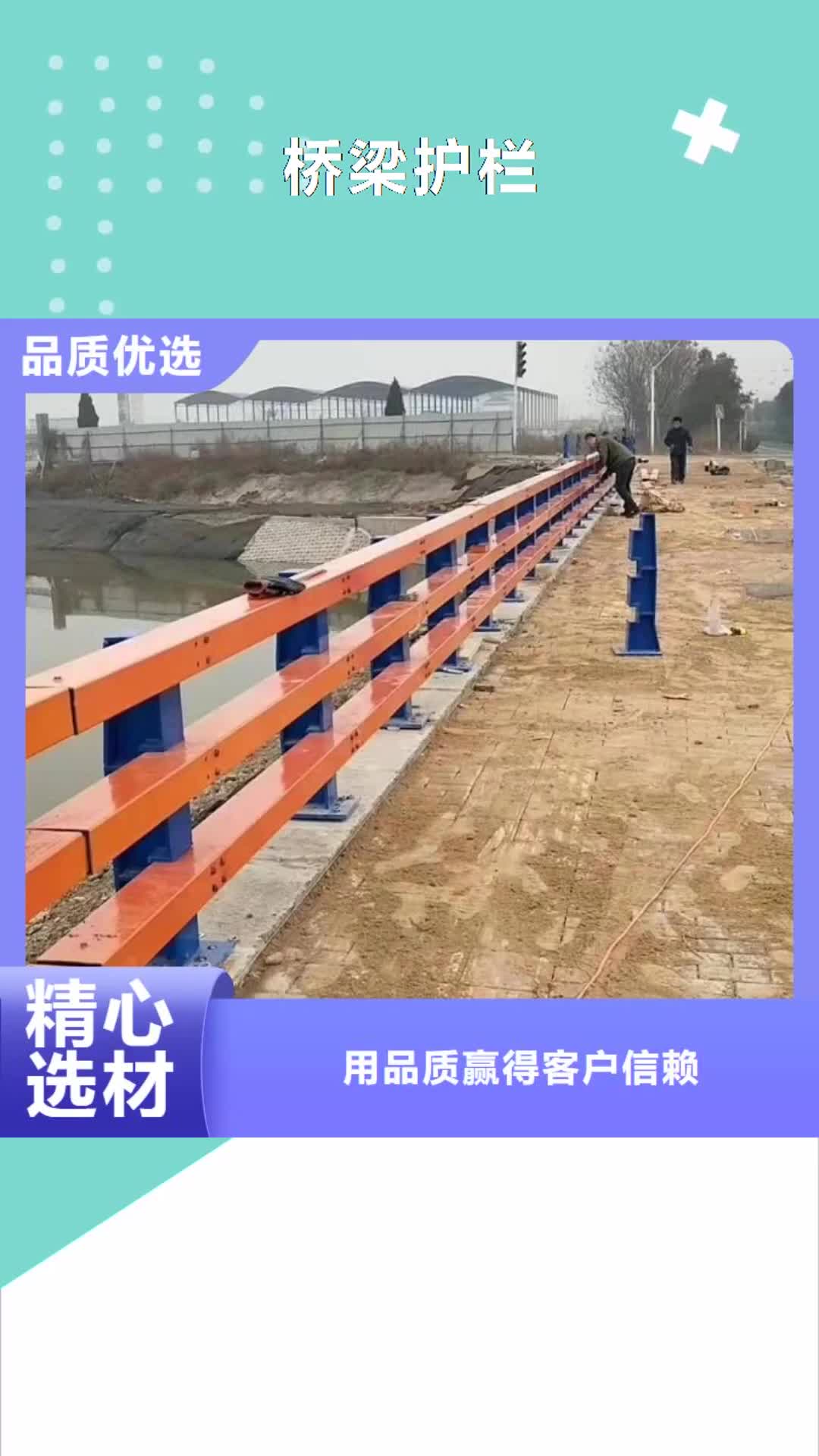 巢湖【桥梁护栏】_交通护栏品质优选