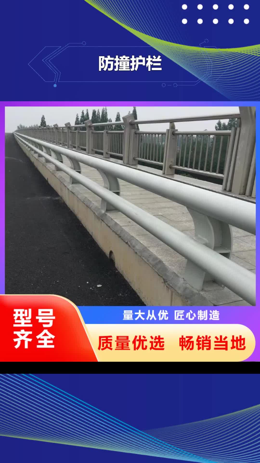 巢湖 防撞护栏 【防撞桥梁栏杆】生产安装