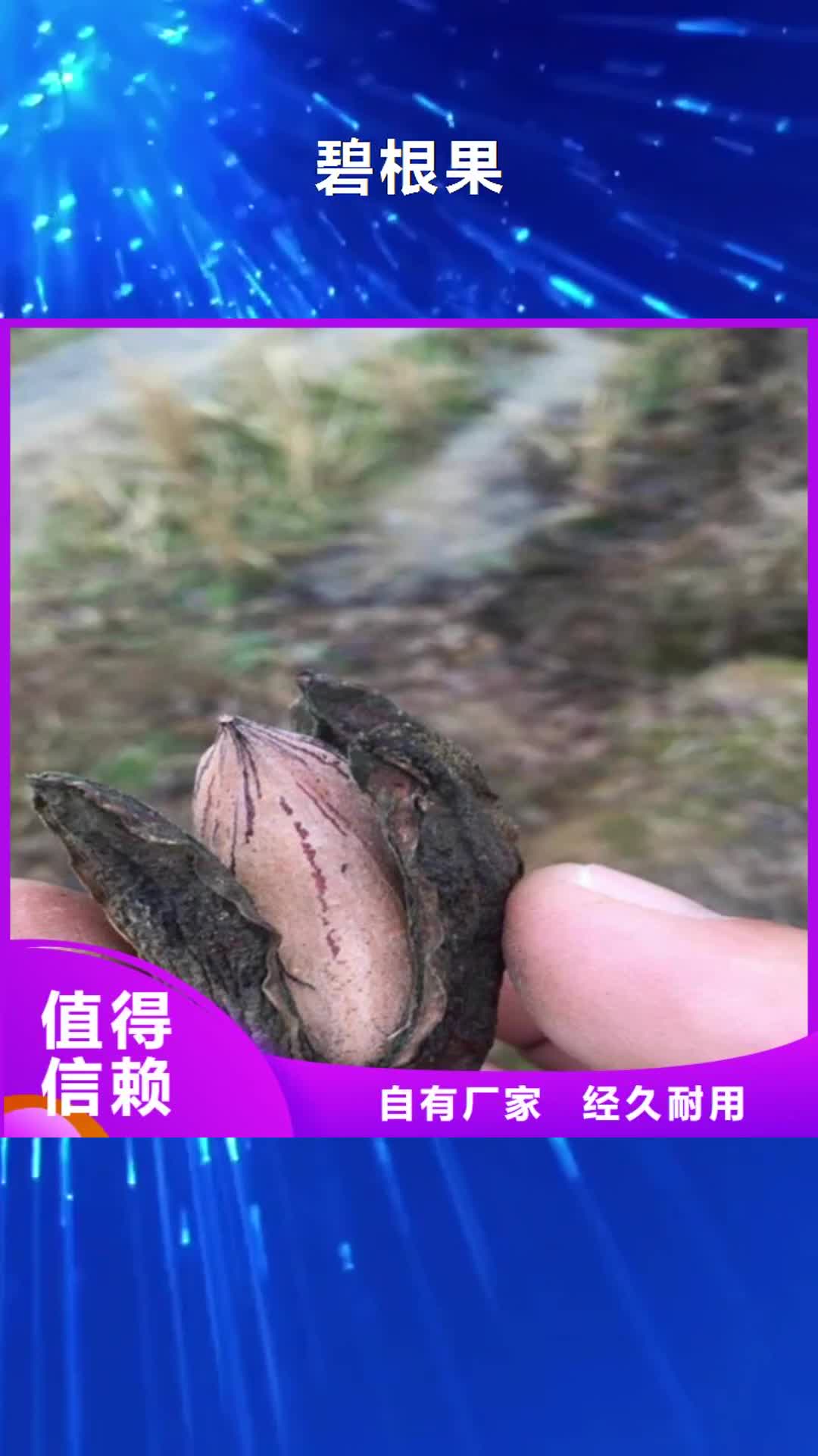 【赤峰 碧根果,葡萄苗当地货源】