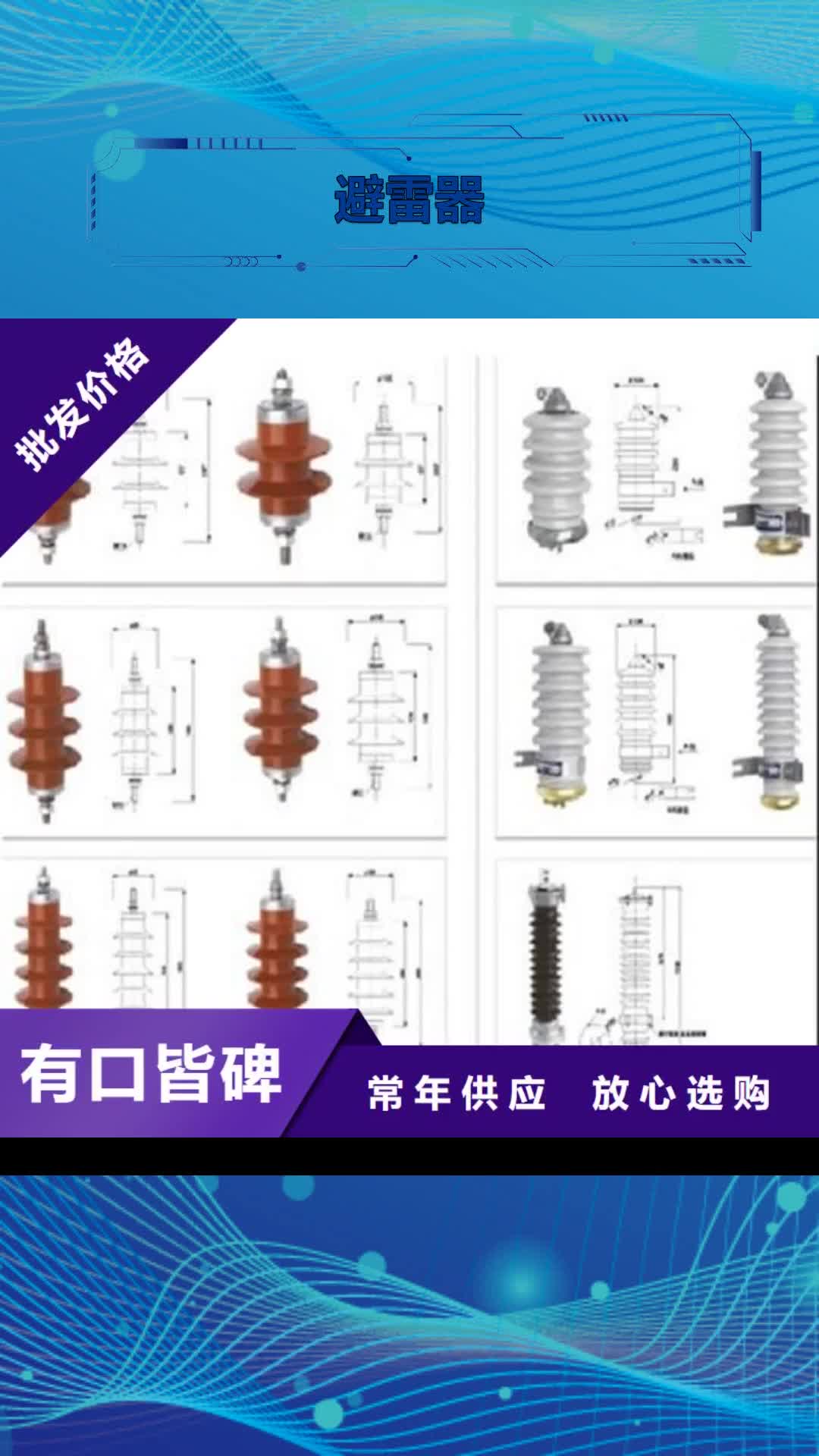 韶关避雷器真空断路器厂家实力雄厚