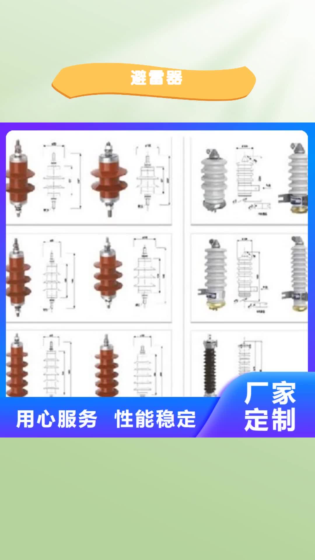 安阳避雷器绝缘子货源直销