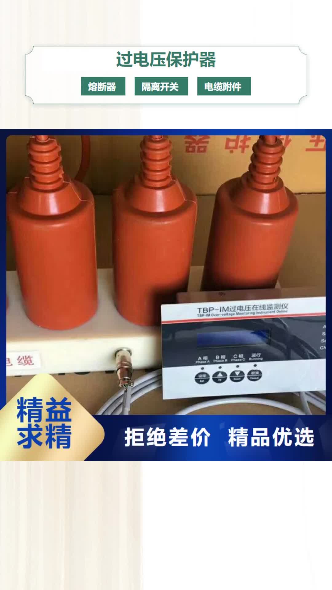 迪庆过电压保护器隔离开关厂家厂家批发价