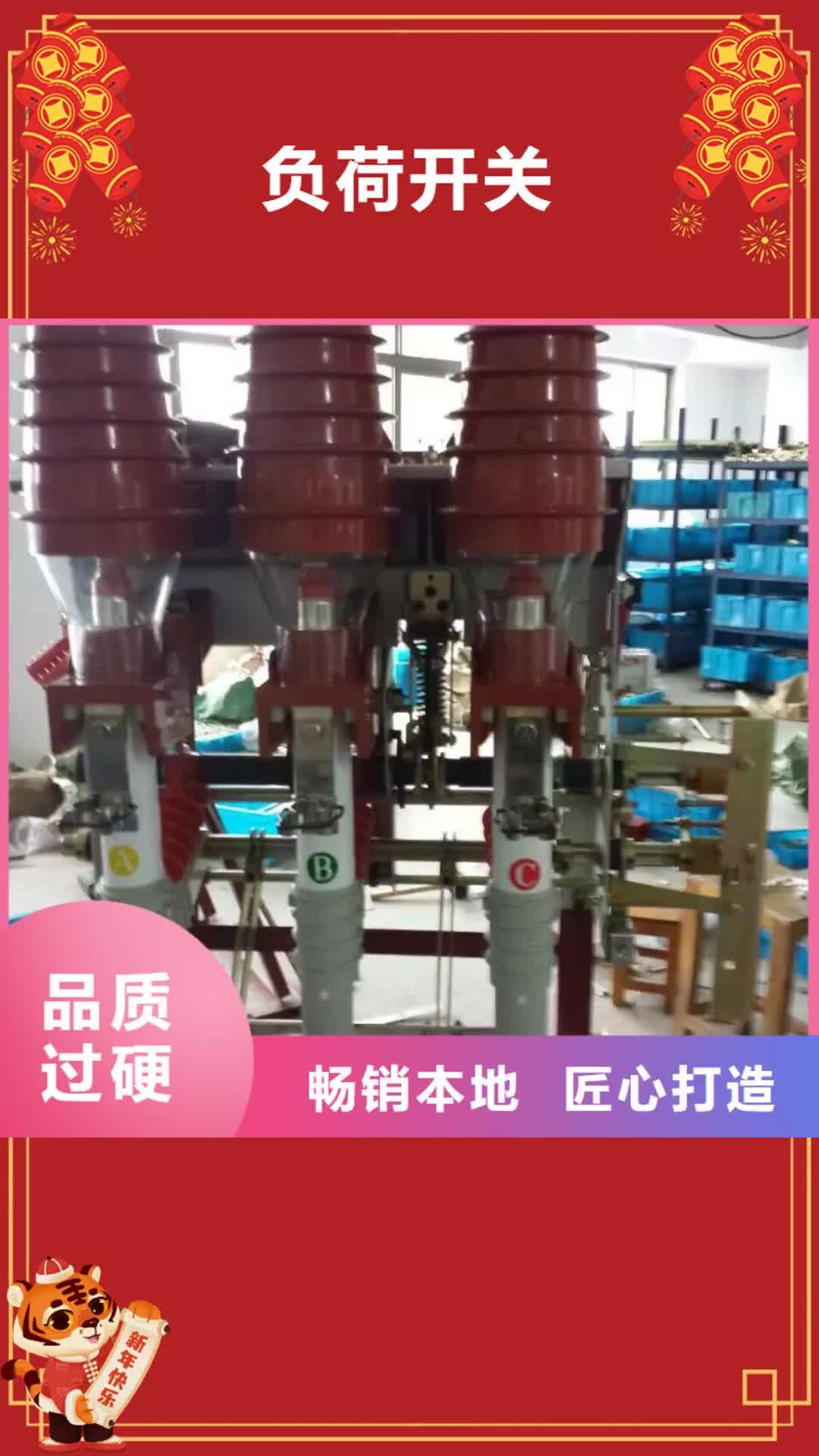 潍坊【负荷开关】_金属氧化物避雷器工厂直营