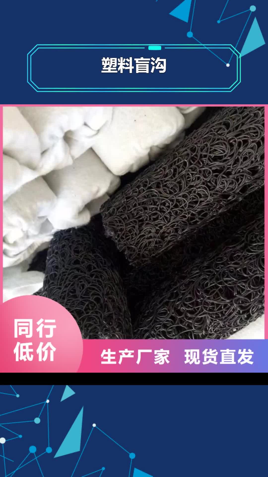 铜陵【塑料盲沟】网格布48小时发货