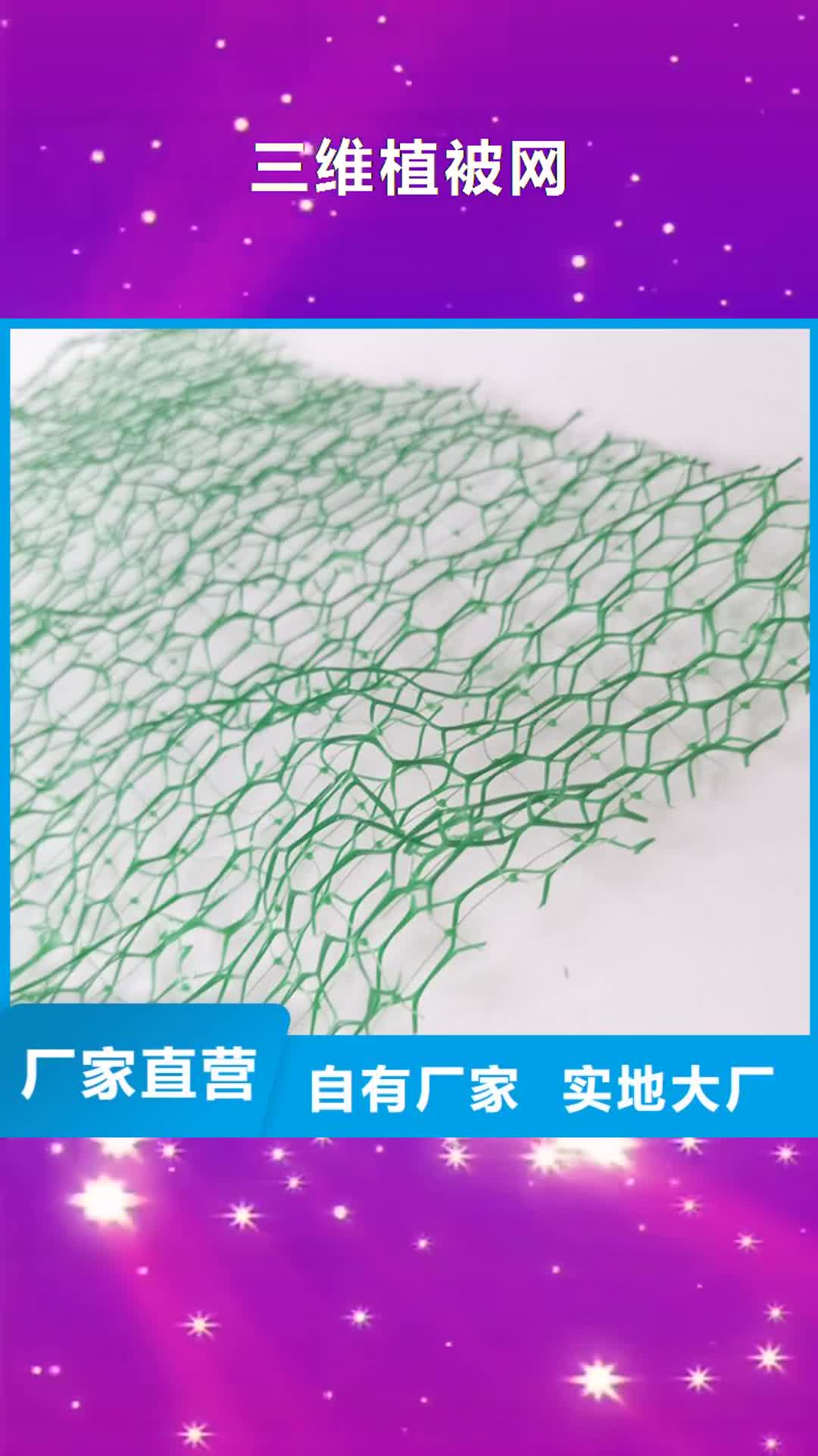营口【三维植被网】,膨润土防水毯专业生产品质保证