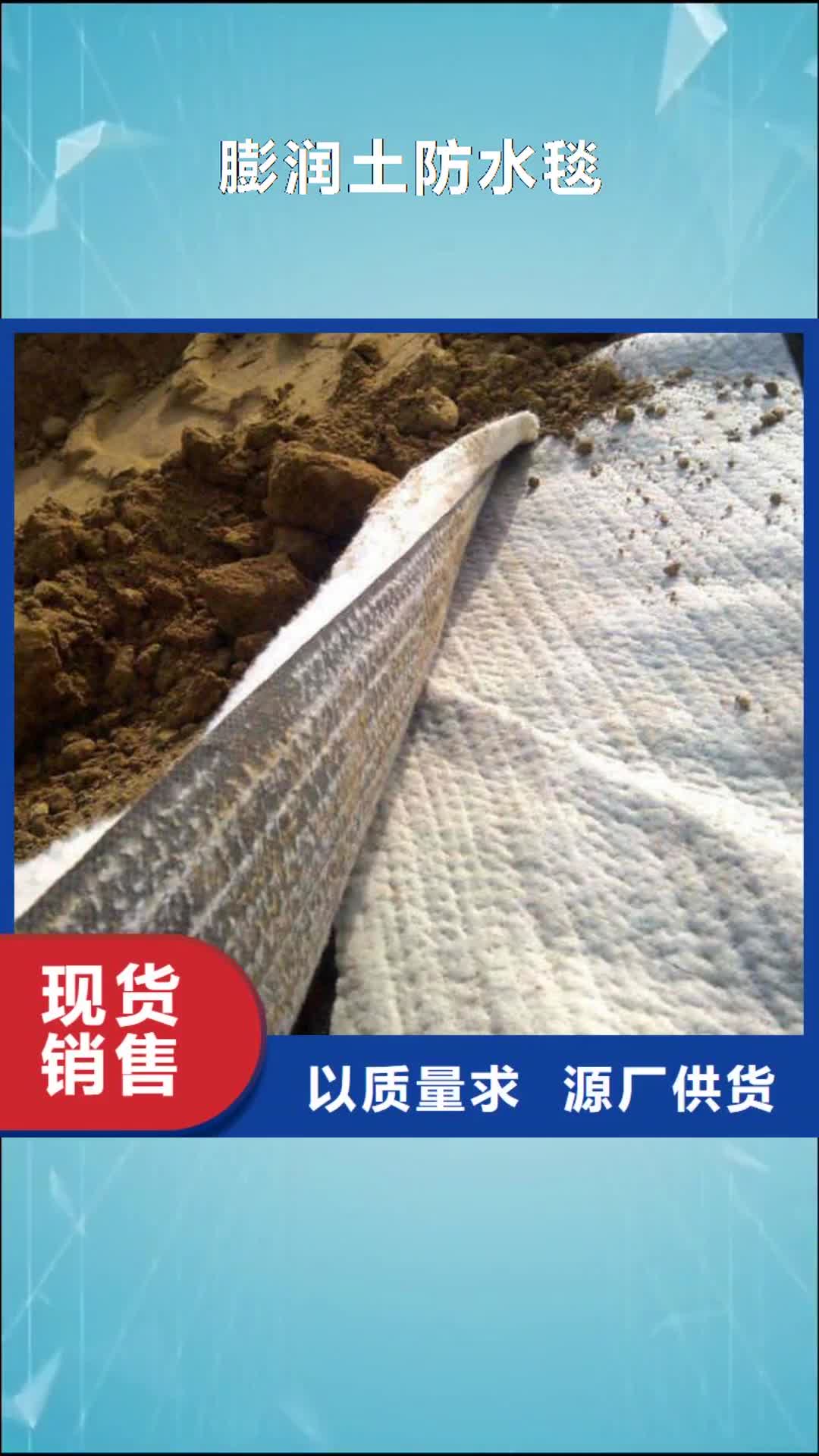 【珠海 膨润土防水毯土工布敢与同行比价格】