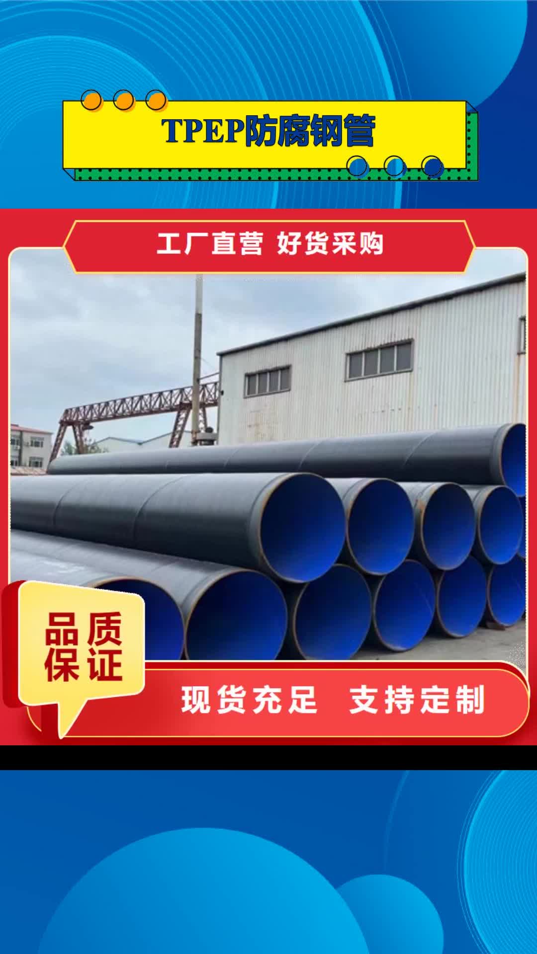 周口【TPEP防腐钢管】 钢套钢保温管一站式供应厂家