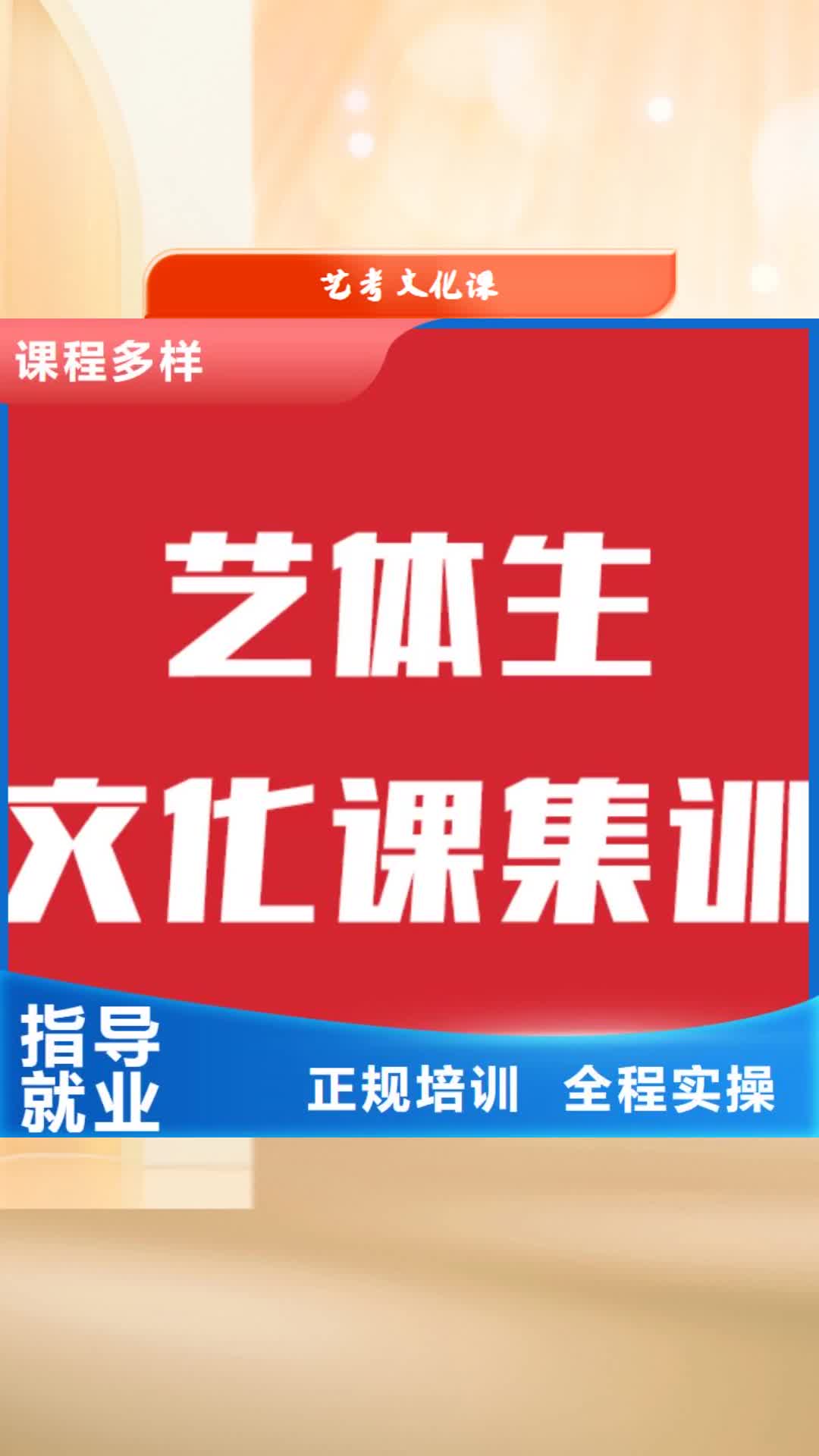 铜陵 艺考文化课实操教学