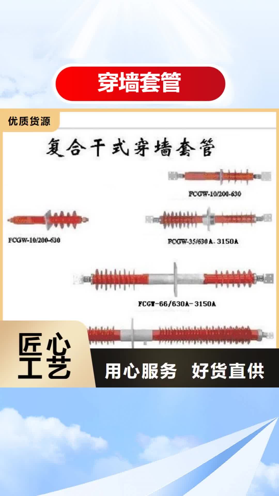 南宁穿墙套管高压开关柜讲信誉保质量