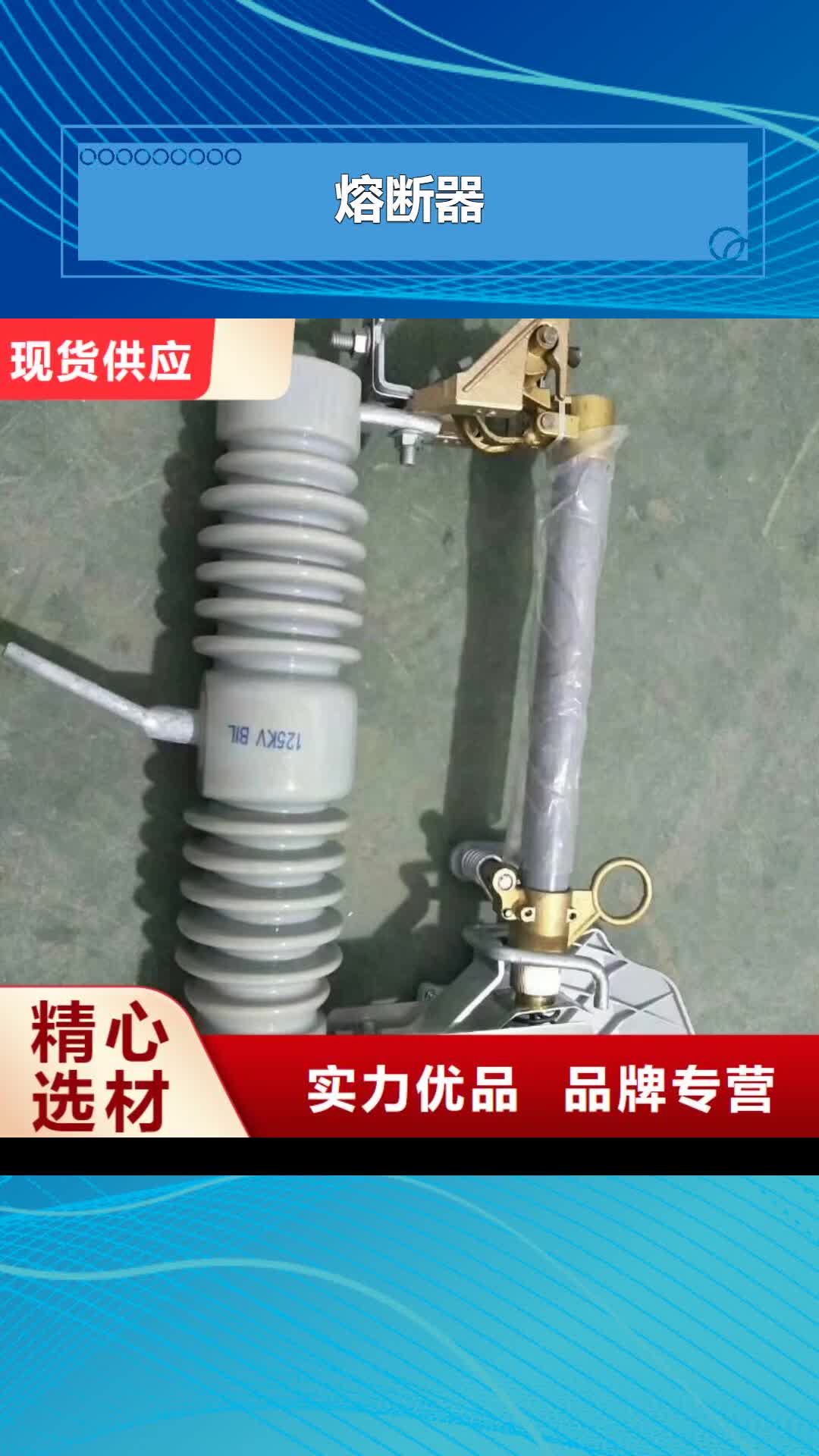 衢州 熔断器,【高低压电器】质量牢靠