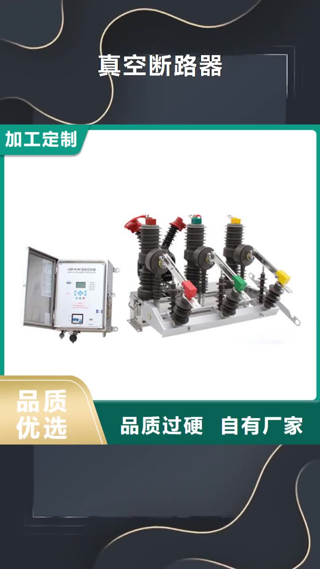 直辖 真空断路器【绝缘子】实力厂家