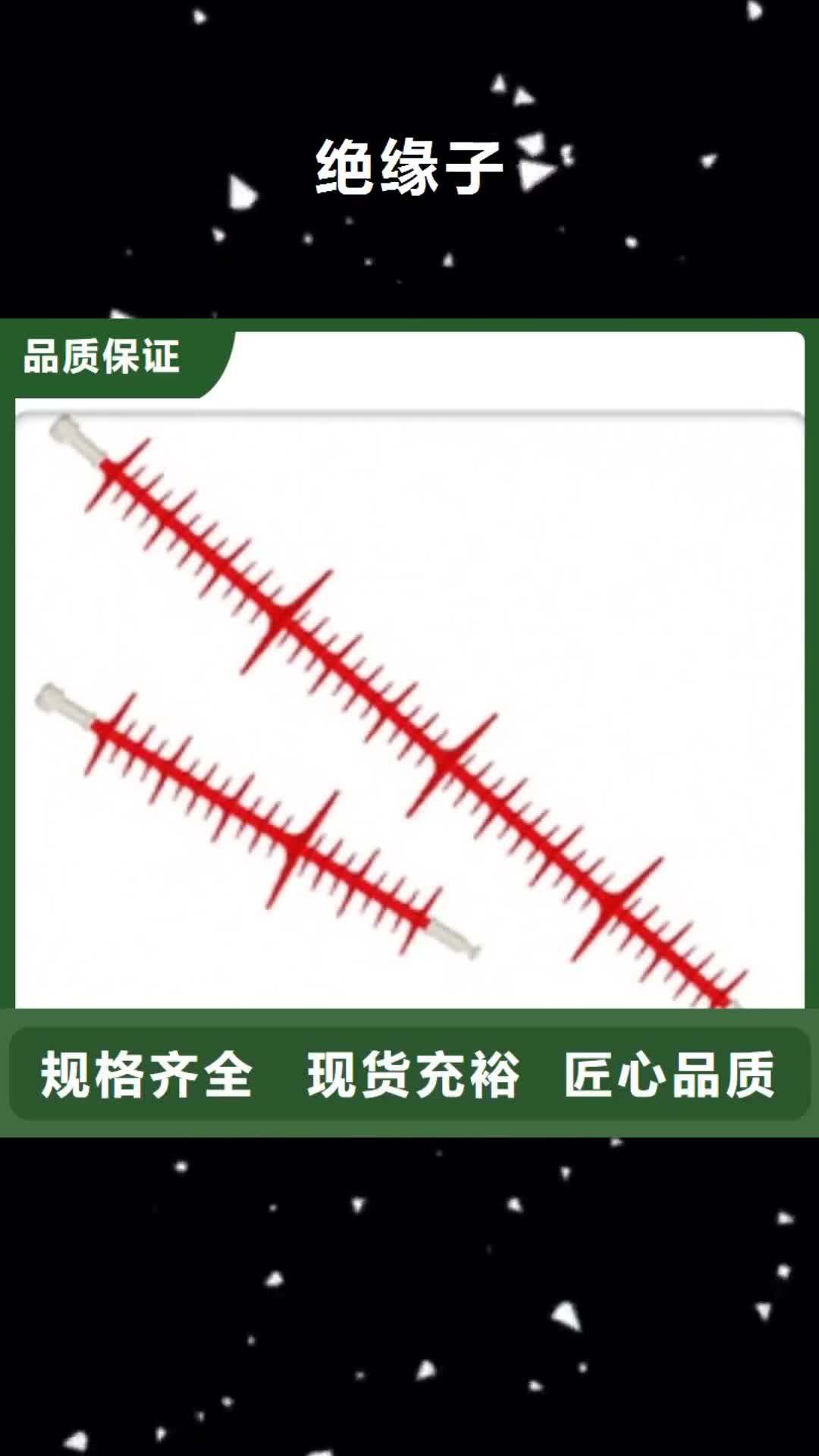 昭通绝缘子真空断路器热销产品