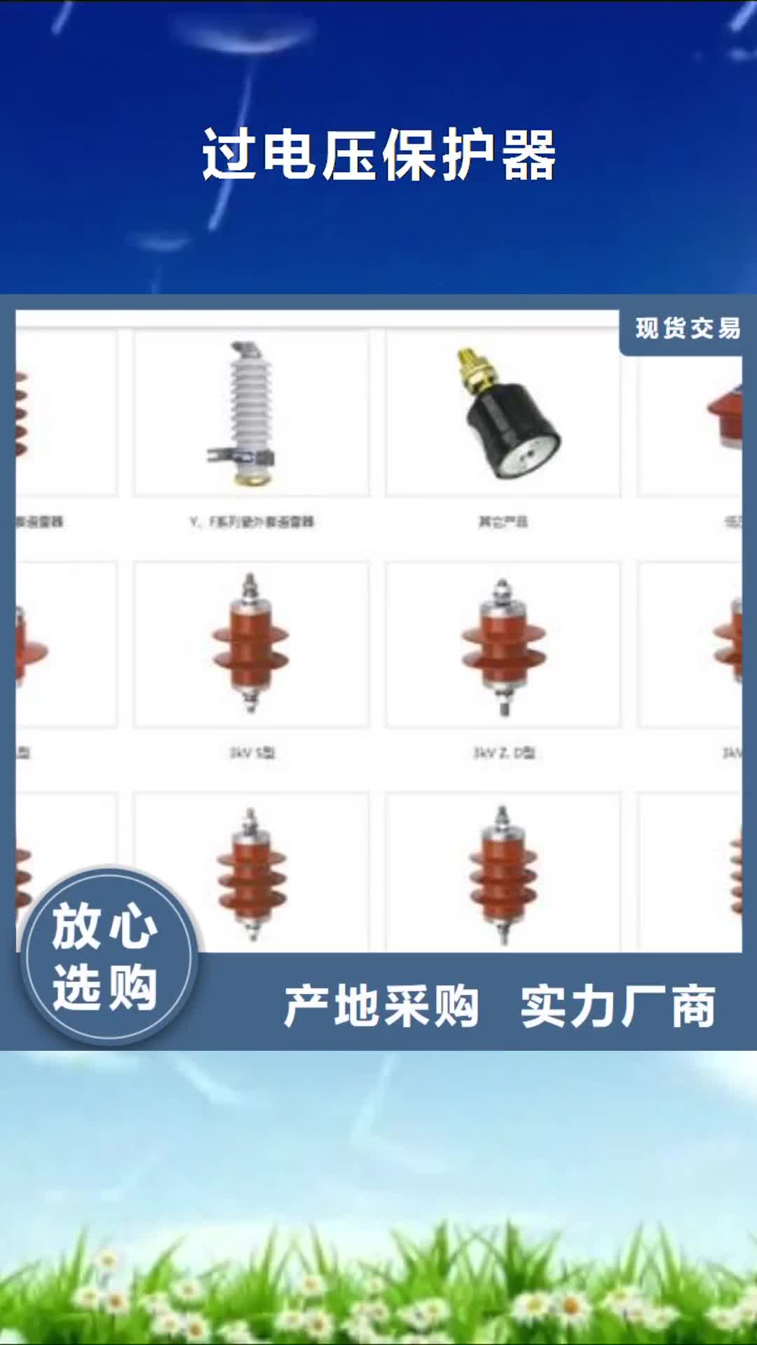 【靖江 过电压保护器_氧化锌避雷器厂家技术完善】