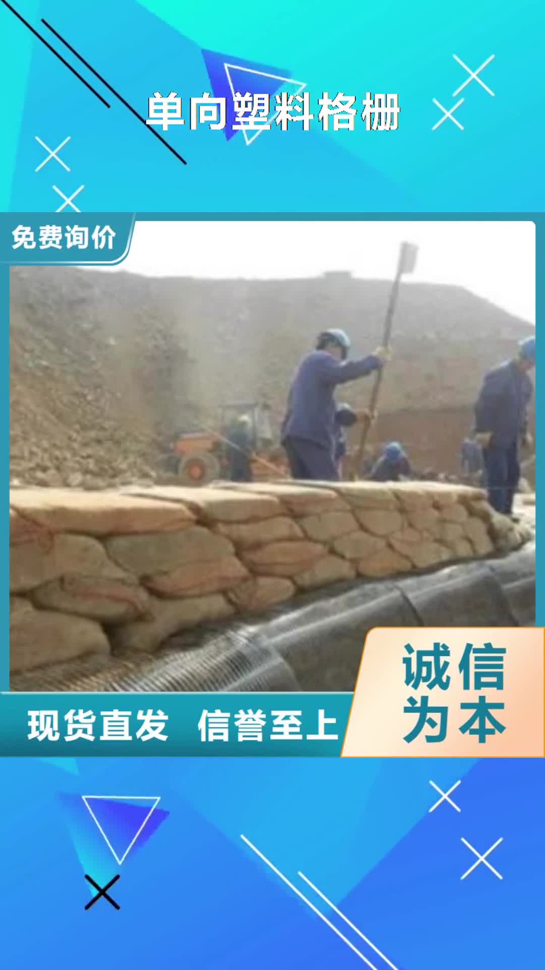 甘南【单向塑料格栅】塑料排水板实体厂家大量现货