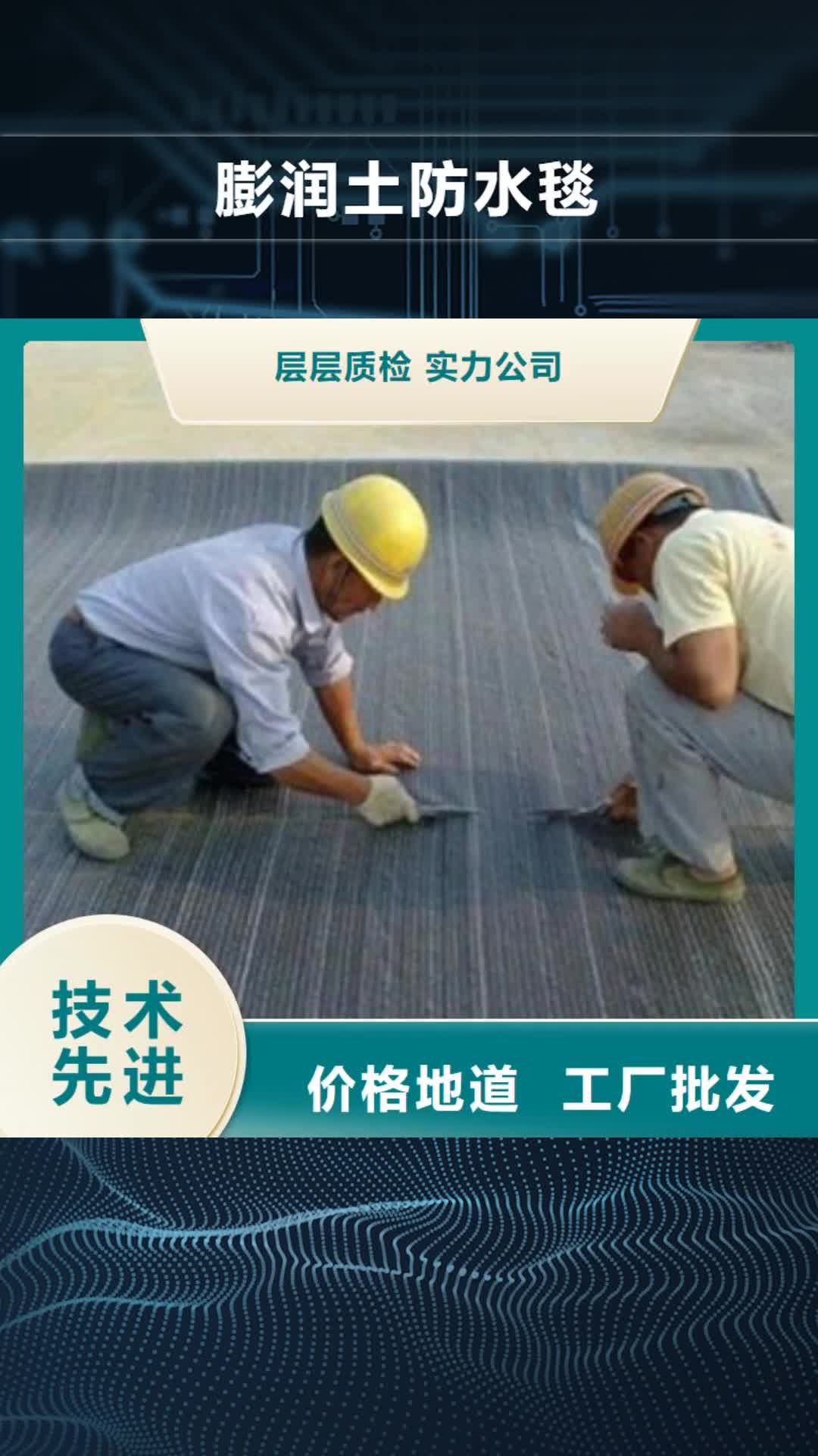 许昌 膨润土防水毯【玻纤土工格栅】厂家