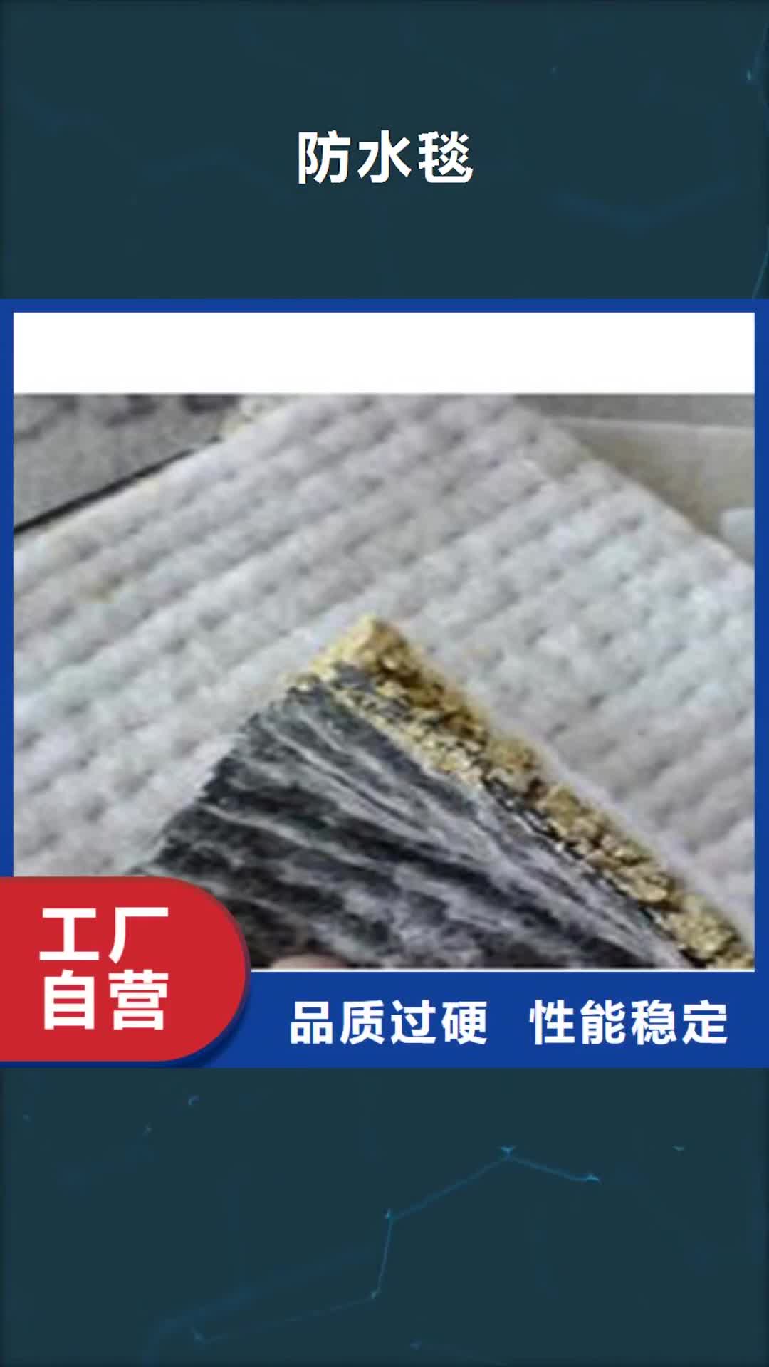 烟台 防水毯【土工膜厂家】多年行业经验